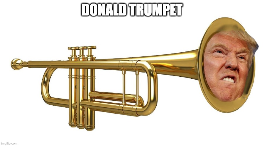 donald trumpet | DONALD TRUMPET | image tagged in donald trumpet | made w/ Imgflip meme maker
