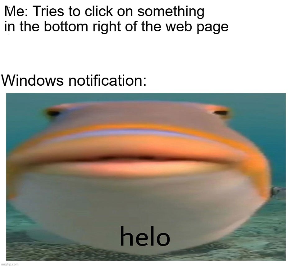 helo fish | Me: Tries to click on something in the bottom right of the web page; Windows notification: | image tagged in helo fish | made w/ Imgflip meme maker