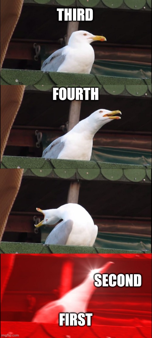 Inhaling Seagull Meme | THIRD FOURTH SECOND FIRST | image tagged in memes,inhaling seagull | made w/ Imgflip meme maker