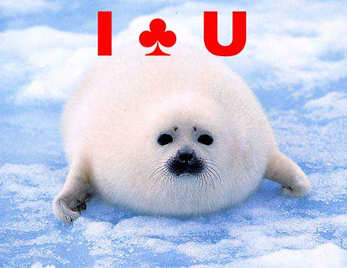 image tagged in funny,animals