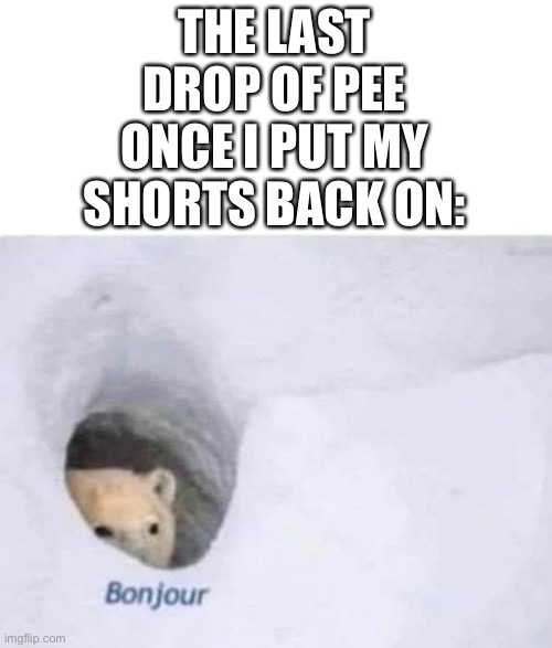 Bonjour | THE LAST DROP OF PEE ONCE I PUT MY SHORTS BACK ON: | image tagged in bonjour | made w/ Imgflip meme maker