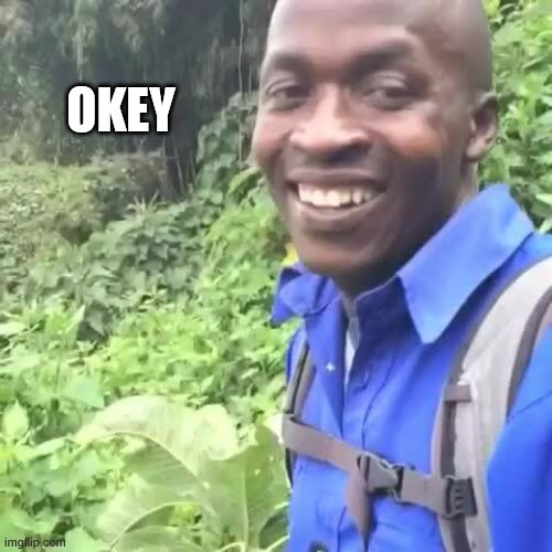 Okey | OKEY | image tagged in okey | made w/ Imgflip meme maker