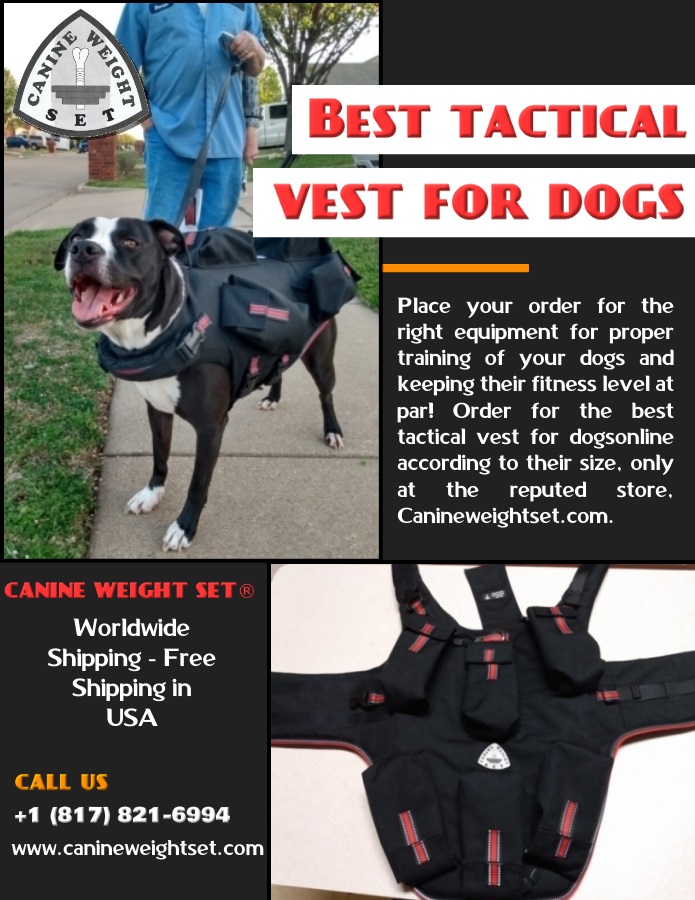 Best tactical vest for dogs Blank Meme Template