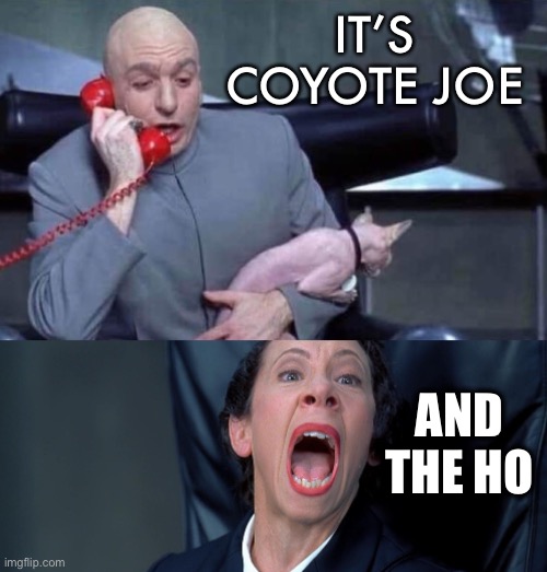 Dr Evil and Frau | IT’S COYOTE JOE AND THE HO | image tagged in dr evil and frau | made w/ Imgflip meme maker