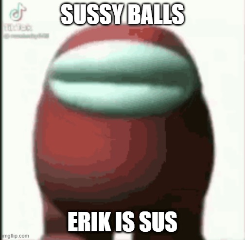 erik | SUSSY BALLS; ERIK IS SUS | image tagged in sus | made w/ Imgflip meme maker