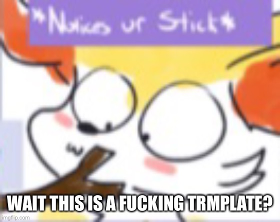 WHAT | WAIT THIS IS A FUCKING TRMPLATE? | image tagged in notices ur stick | made w/ Imgflip meme maker