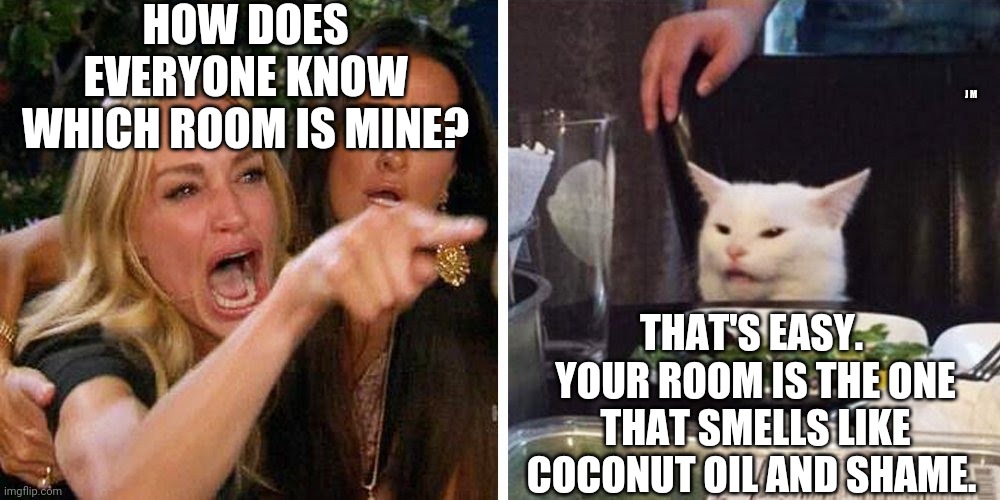 Smudge the cat | HOW DOES EVERYONE KNOW WHICH ROOM IS MINE? J M; THAT'S EASY.  YOUR ROOM IS THE ONE THAT SMELLS LIKE COCONUT OIL AND SHAME. | image tagged in smudge the cat | made w/ Imgflip meme maker