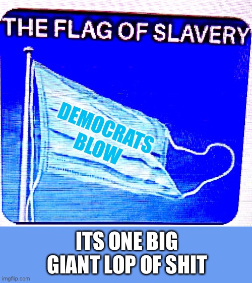 The Flag of Slavery | DEMOCRATS BLOW; ITS ONE BIG GIANT LOP OF SHIT | image tagged in mask flag,demoncrats,terrocrats or demorrists | made w/ Imgflip meme maker