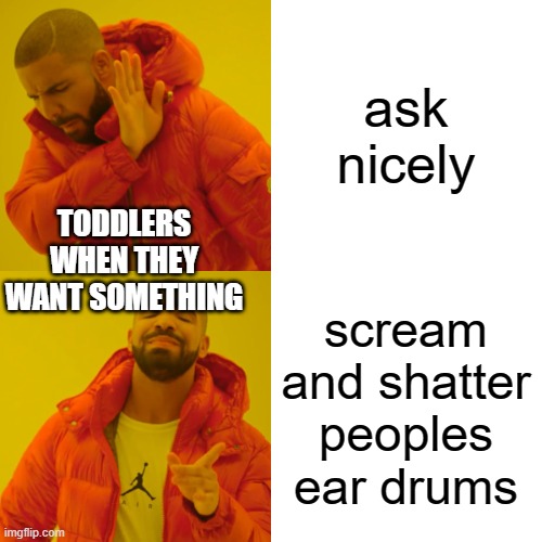 Drake Hotline Bling Meme | ask nicely scream and shatter peoples ear drums TODDLERS WHEN THEY WANT SOMETHING | image tagged in memes,drake hotline bling | made w/ Imgflip meme maker