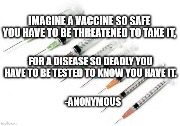 Vaccine shot |  IMAGINE A VACCINE SO SAFE YOU HAVE TO BE THREATENED TO TAKE IT, FOR A DISEASE SO DEADLY YOU HAVE TO BE TESTED TO KNOW YOU HAVE IT. -ANONYMOUS | image tagged in needles | made w/ Imgflip meme maker