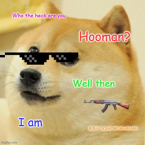 Who are you hooman? | Who the heck are you; Hooman? Well then; I am; BUFF DOGE MUAHAHAH | image tagged in memes,doge | made w/ Imgflip meme maker