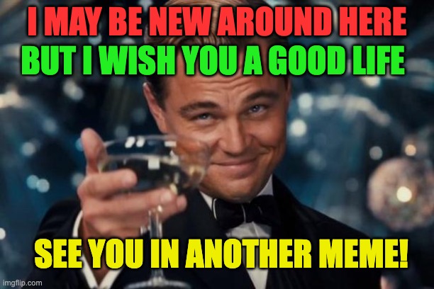 Leonardo Dicaprio Cheers | I MAY BE NEW AROUND HERE; BUT I WISH YOU A GOOD LIFE; SEE YOU IN ANOTHER MEME! | image tagged in memes,leonardo dicaprio cheers | made w/ Imgflip meme maker