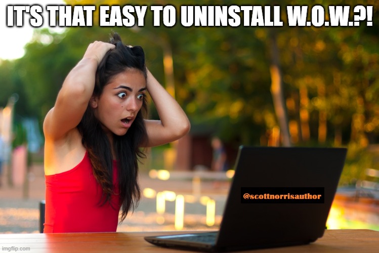 Shocked Laptop Girl | IT'S THAT EASY TO UNINSTALL W.O.W.?! | image tagged in shocked laptop girl | made w/ Imgflip meme maker
