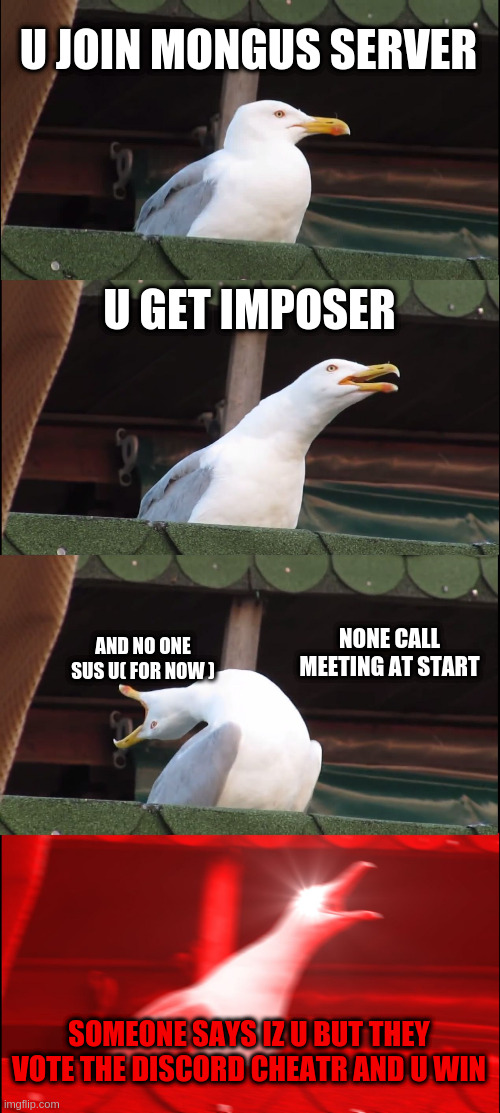 Inhaling Seagull | U JOIN MONGUS SERVER; U GET IMPOSER; NONE CALL MEETING AT START; AND NO ONE SUS U( FOR NOW ); SOMEONE SAYS IZ U BUT THEY VOTE THE DISCORD CHEATR AND U WIN | image tagged in memes,inhaling seagull | made w/ Imgflip meme maker