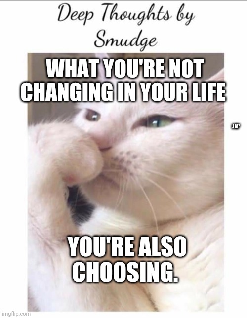 Smudge | WHAT YOU'RE NOT CHANGING IN YOUR LIFE; J M¹; YOU'RE ALSO CHOOSING. | image tagged in smudge | made w/ Imgflip meme maker