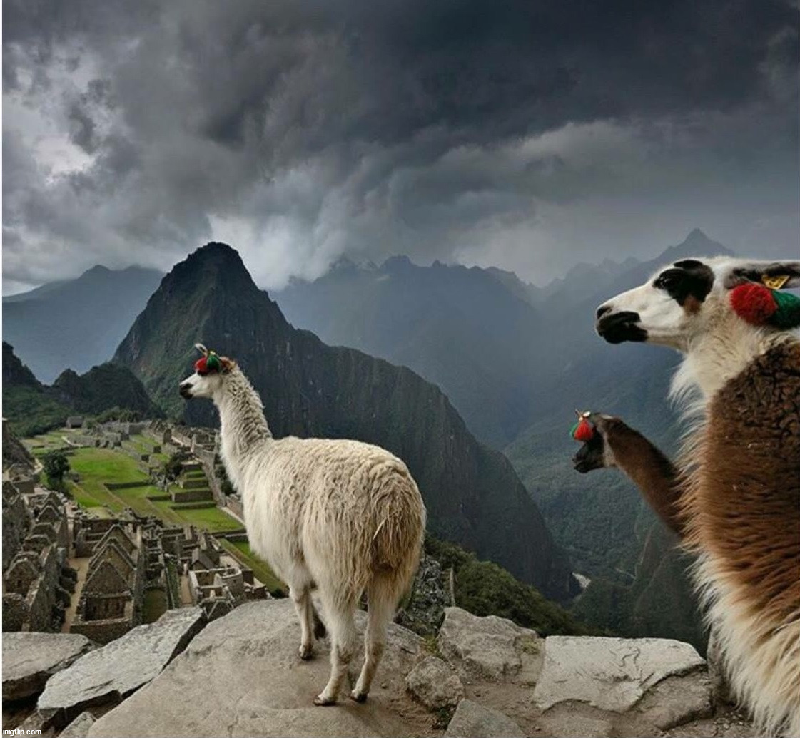 image tagged in awesome | made w/ Imgflip meme maker