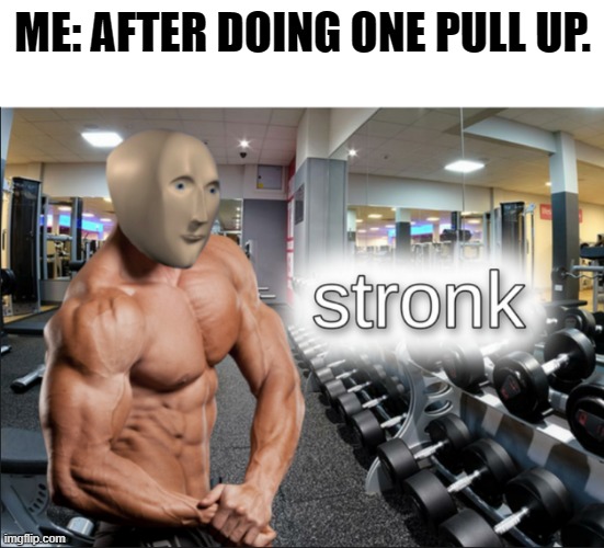 Relatable meme | ME: AFTER DOING ONE PULL UP. | image tagged in stronks | made w/ Imgflip meme maker