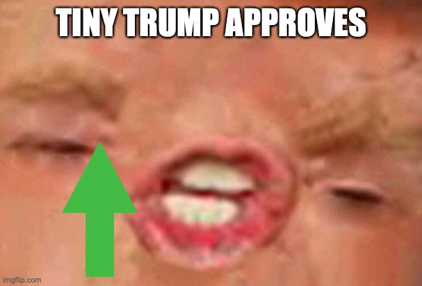 Tiny Trump approves Blank Meme Template