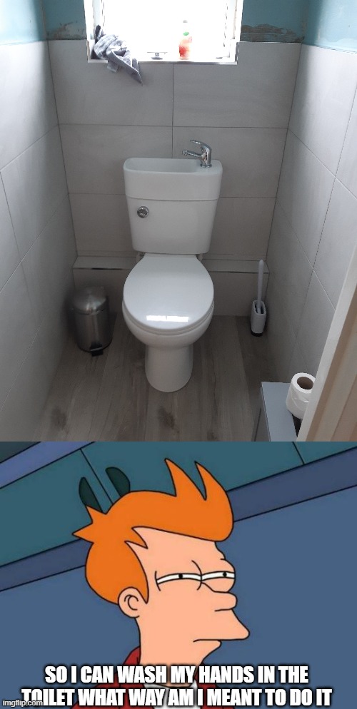 should I sit on the toilet the wrong way and wash my hands or do I stand at the two gasps | SO I CAN WASH MY HANDS IN THE TOILET WHAT WAY AM I MEANT TO DO IT | image tagged in memes,futurama fry | made w/ Imgflip meme maker