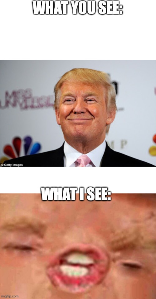 WHAT YOU SEE:; WHAT I SEE: | image tagged in donald trump approves,tiny trump | made w/ Imgflip meme maker