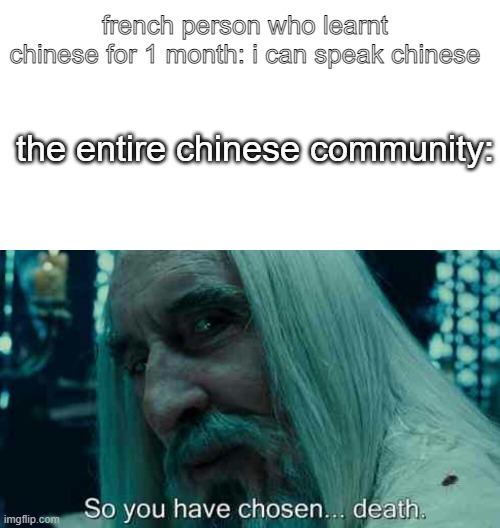 french person who learnt chinese for 1 month: i can speak chinese; the entire chinese community: | image tagged in so you have chosen death | made w/ Imgflip meme maker