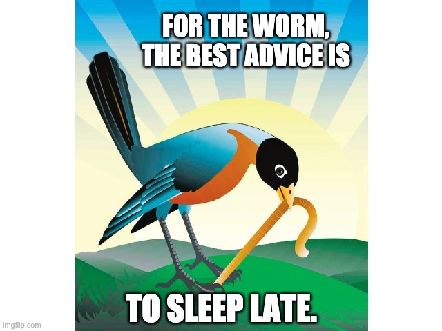 Early bird | FOR THE WORM, THE BEST ADVICE IS; TO SLEEP LATE. | image tagged in dad joke | made w/ Imgflip meme maker