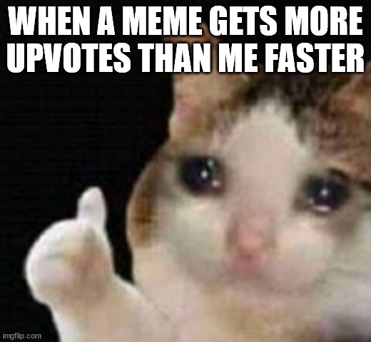 Approved crying cat | WHEN A MEME GETS MORE UPVOTES THAN ME FASTER | image tagged in wow this is garbage you actually like this | made w/ Imgflip meme maker