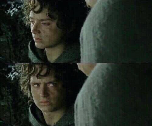 Frodo upset Blank Meme Template