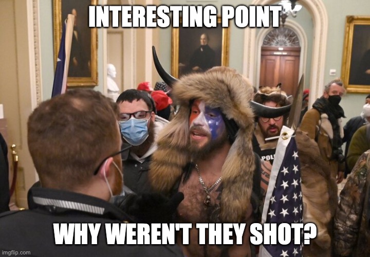 Trump rioter | INTERESTING POINT WHY WEREN'T THEY SHOT? | image tagged in trump rioter | made w/ Imgflip meme maker