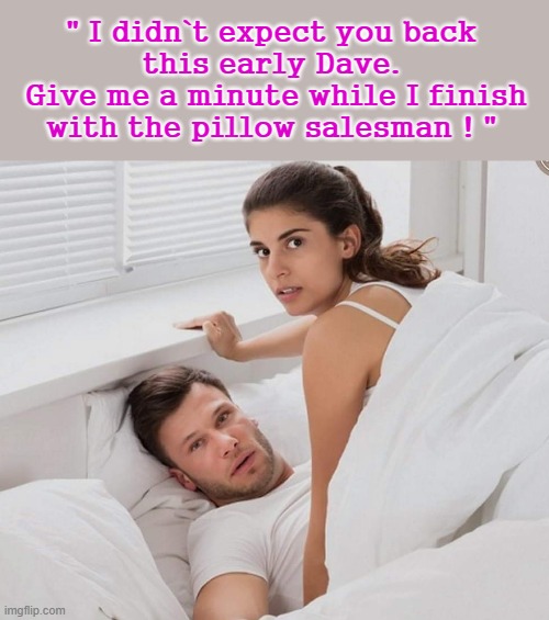 " Give me a minute to finish Dave ! " | " I didn`t expect you back
this early Dave.
  Give me a minute while I finish 
with the pillow salesman ! " | image tagged in pillow | made w/ Imgflip meme maker