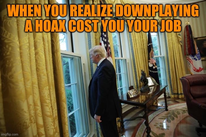 Trump sad window | WHEN YOU REALIZE DOWNPLAYING A HOAX COST YOU YOUR JOB | image tagged in trump sad window | made w/ Imgflip meme maker