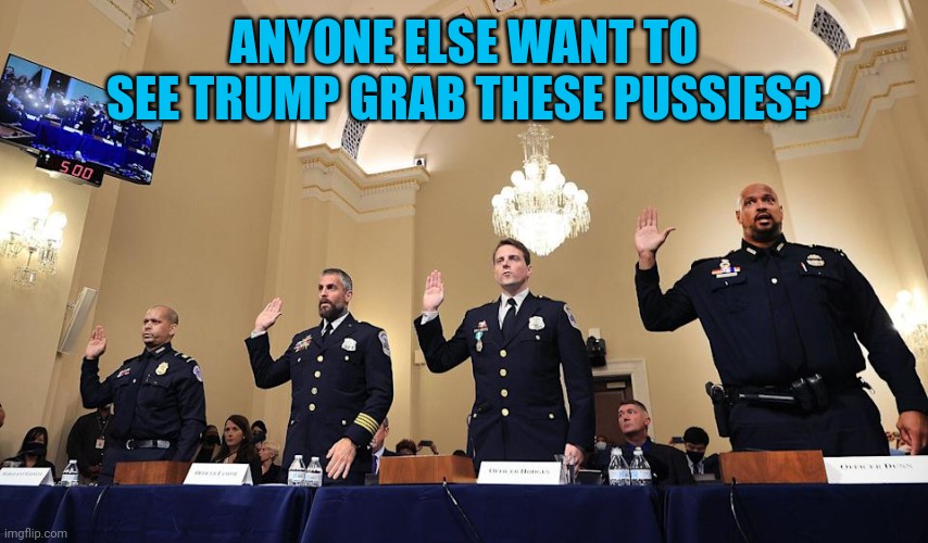 Capitol Police Sworn In Testimony | ANYONE ELSE WANT TO SEE TRUMP GRAB THESE PUSSIES? | image tagged in capitol police sworn in testimony | made w/ Imgflip meme maker