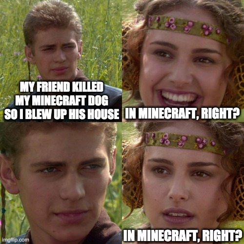 Bruh | MY FRIEND KILLED MY MINECRAFT DOG SO I BLEW UP HIS HOUSE; IN MINECRAFT, RIGHT? IN MINECRAFT, RIGHT? | image tagged in anakin padme 4 panel | made w/ Imgflip meme maker