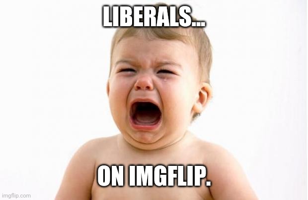 And pretty much any other social media site. | LIBERALS... ON IMGFLIP. | image tagged in memes | made w/ Imgflip meme maker