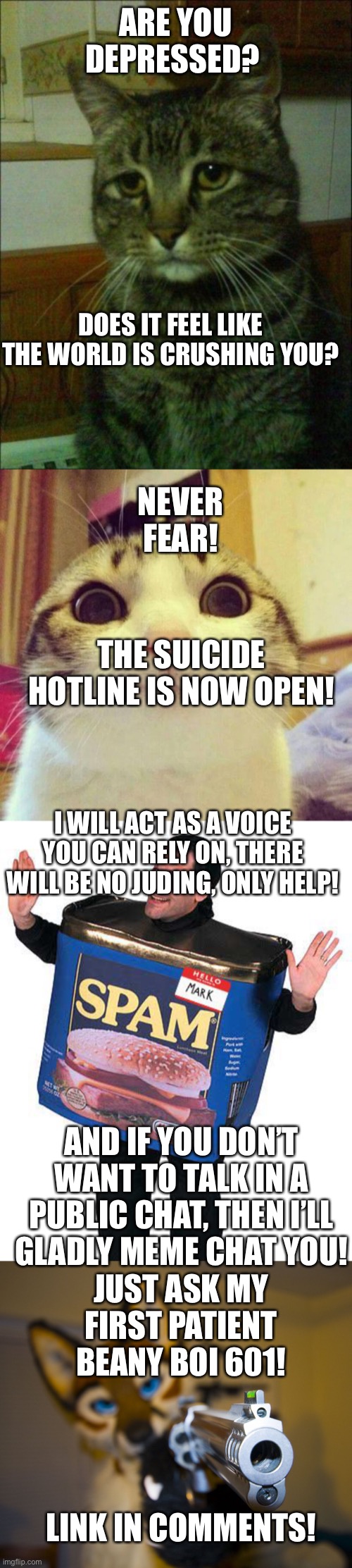 Trust me | ARE YOU DEPRESSED? DOES IT FEEL LIKE THE WORLD IS CRUSHING YOU? NEVER FEAR! THE SUICIDE HOTLINE IS NOW OPEN! I WILL ACT AS A VOICE YOU CAN RELY ON, THERE WILL BE NO JUDING, ONLY HELP! AND IF YOU DON’T WANT TO TALK IN A PUBLIC CHAT, THEN I’LL GLADLY MEME CHAT YOU! JUST ASK MY FIRST PATIENT BEANY BOI 601! LINK IN COMMENTS! | image tagged in memes,depressed cat,smiling cat,spam,furry with gun | made w/ Imgflip meme maker