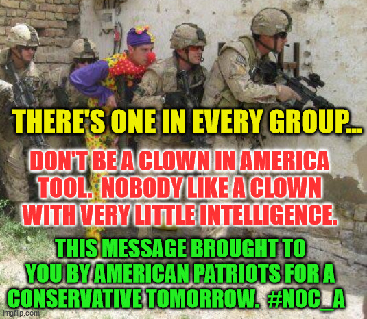 Army clown | THERE'S ONE IN EVERY GROUP... DON'T BE A CLOWN IN AMERICA TOOL.  NOBODY LIKE A CLOWN WITH VERY LITTLE INTELLIGENCE. THIS MESSAGE BROUGHT TO YOU BY AMERICAN PATRIOTS FOR A CONSERVATIVE TOMORROW.  #NOC_A | image tagged in army clown | made w/ Imgflip meme maker