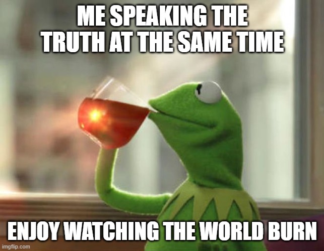 But That's None Of My Business (Neutral) | ME SPEAKING THE TRUTH AT THE SAME TIME; ENJOY WATCHING THE WORLD BURN | image tagged in memes,but that's none of my business neutral | made w/ Imgflip meme maker