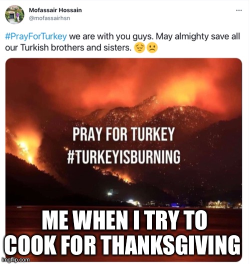 Did I go too far? | ME WHEN I TRY TO COOK FOR THANKSGIVING | image tagged in turkey,thanksgiving | made w/ Imgflip meme maker