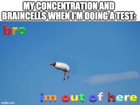 lol | MY CONCENTRATION AND BRAINCELLS WHEN I'M DOING A TEST: | image tagged in bro im out of here | made w/ Imgflip meme maker