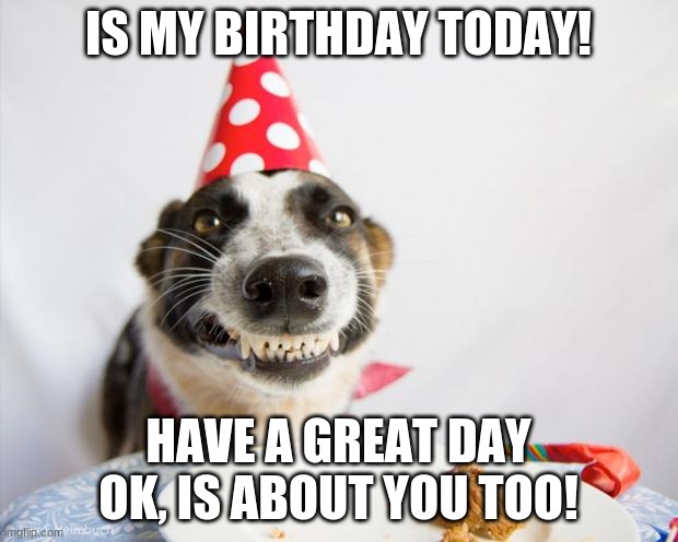 Happy birthday to me, happy happy day to you (unless it's your bday too) |  IS MY BIRTHDAY TODAY! HAVE A GREAT DAY OK, IS ABOUT YOU TOO! | image tagged in birthday dog,happy birthday | made w/ Imgflip meme maker