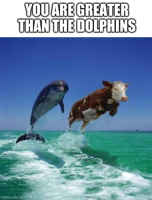 Ocean cow | YOU ARE GREATER THAN THE DOLPHINS | image tagged in blank white template | made w/ Imgflip meme maker