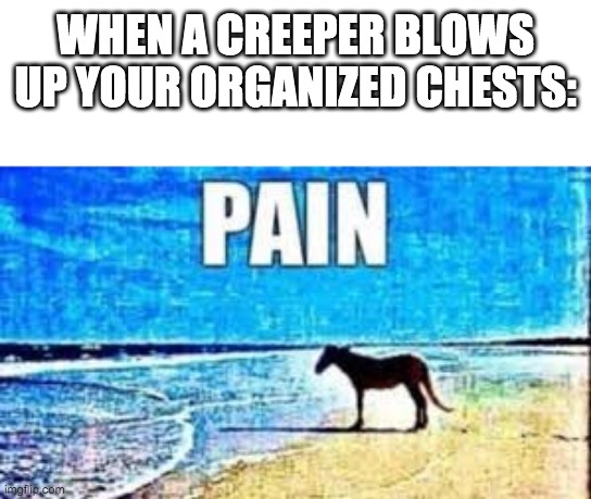Pain *intensifies* | WHEN A CREEPER BLOWS UP YOUR ORGANIZED CHESTS: | image tagged in pain | made w/ Imgflip meme maker