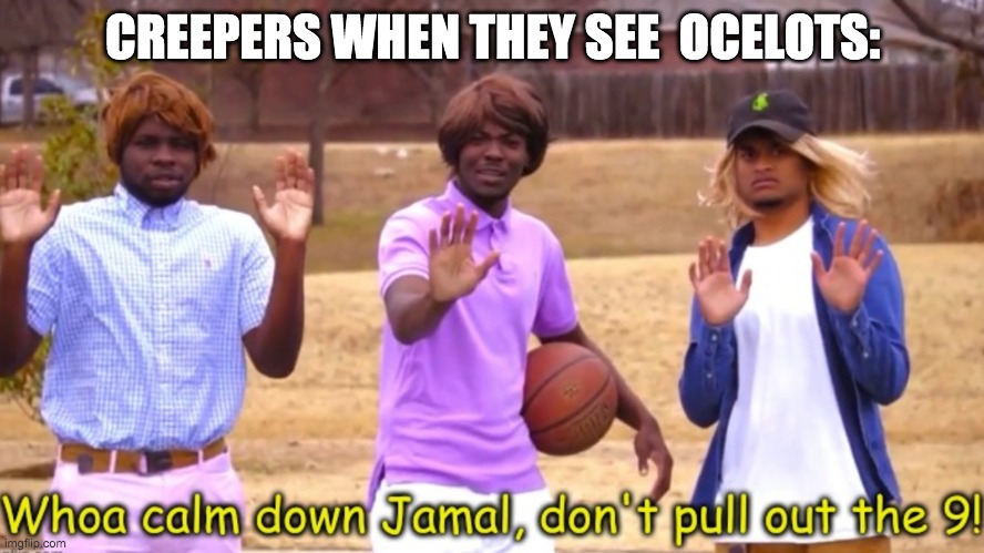 Whoa calm down jamal dont pull out da 9! | CREEPERS WHEN THEY SEE  OCELOTS: | image tagged in wow calm down jamal dont pull out the 9 | made w/ Imgflip meme maker