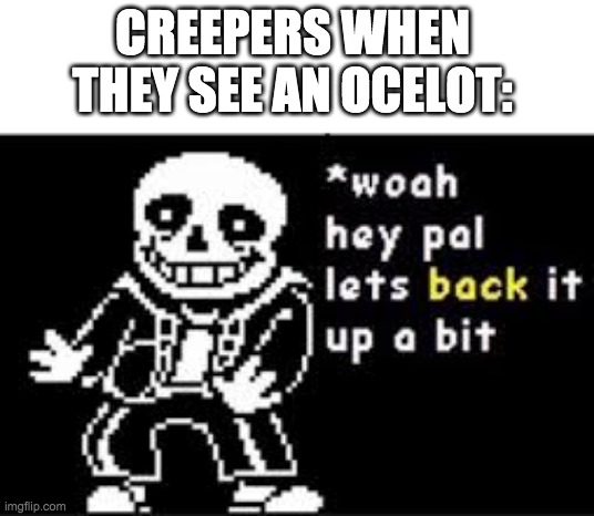 back it up bro! | CREEPERS WHEN THEY SEE AN OCELOT: | image tagged in woah hey pal lets back it up a bit | made w/ Imgflip meme maker