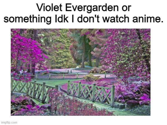 I actually watched it, very heartwarming. Just like this garden | Violet Evergarden or something Idk I don't watch anime. | image tagged in memes,anime,anime meme,anime memes,idk | made w/ Imgflip meme maker