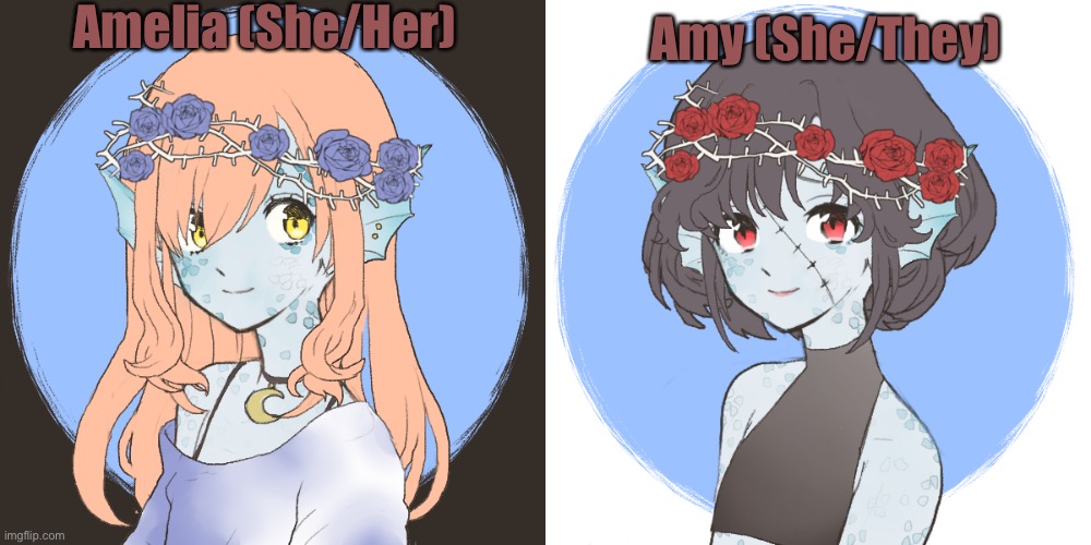 Amelia (She/Her) Amy (She/They) | made w/ Imgflip meme maker