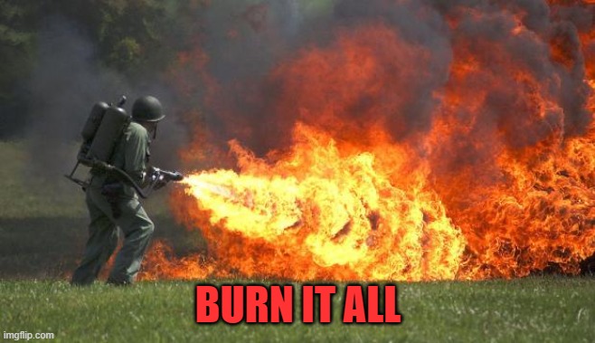 flamethrower | BURN IT ALL | image tagged in flamethrower | made w/ Imgflip meme maker