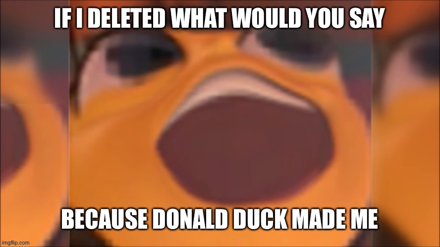 Ms | IF I DELETED WHAT WOULD YOU SAY; BECAUSE DONALD DUCK MADE ME | made w/ Imgflip meme maker
