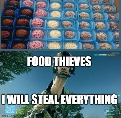 has food? | FOOD THIEVES; I WILL STEAL EVERYTHING | image tagged in has food | made w/ Imgflip meme maker