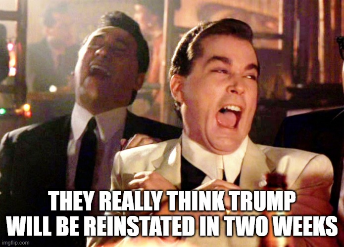 Good Fellas Hilarious | THEY REALLY THINK TRUMP WILL BE REINSTATED IN TWO WEEKS | image tagged in memes,good fellas hilarious | made w/ Imgflip meme maker